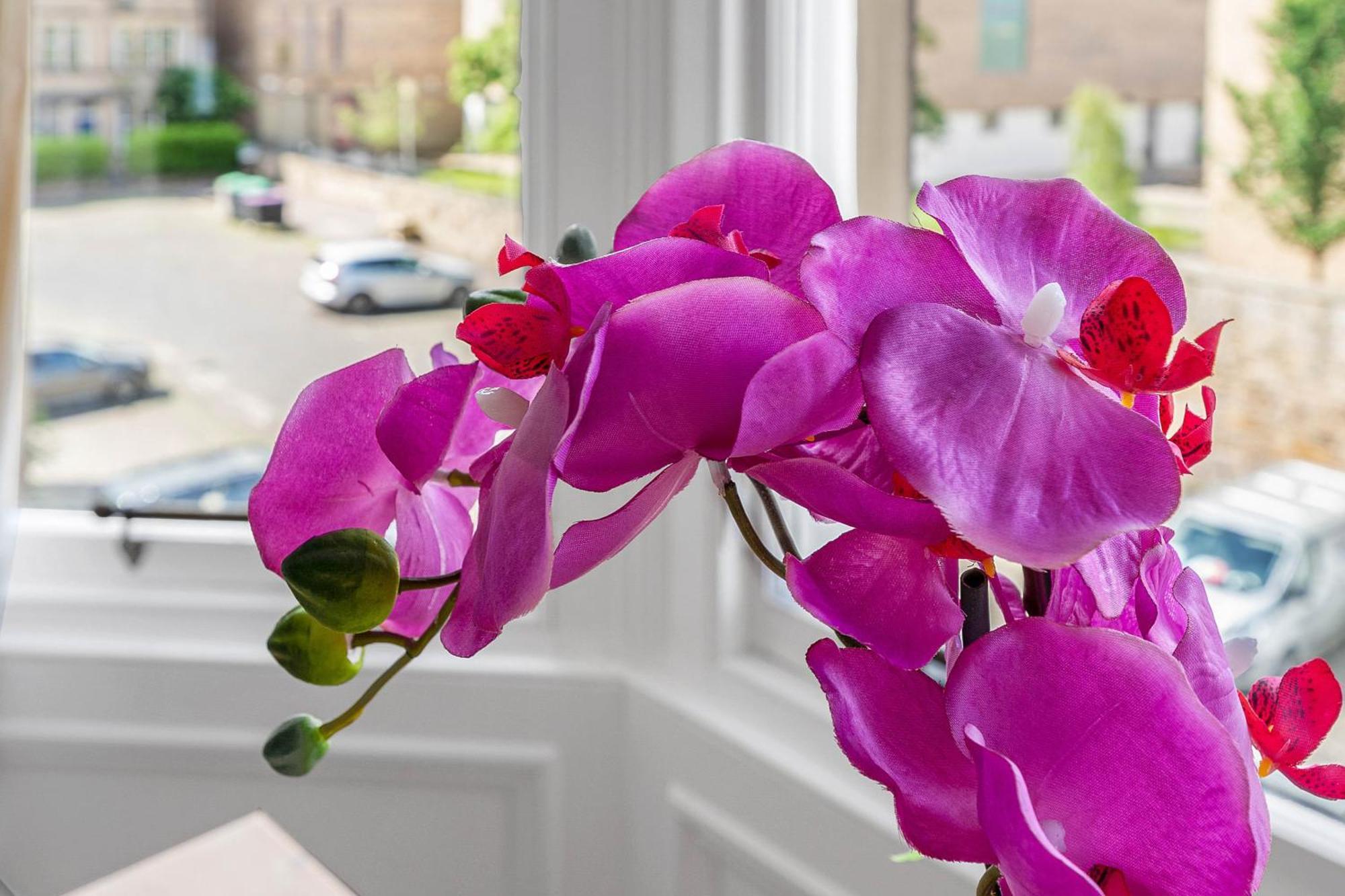 Marchmont Traditional Apartments EDI Buitenkant foto